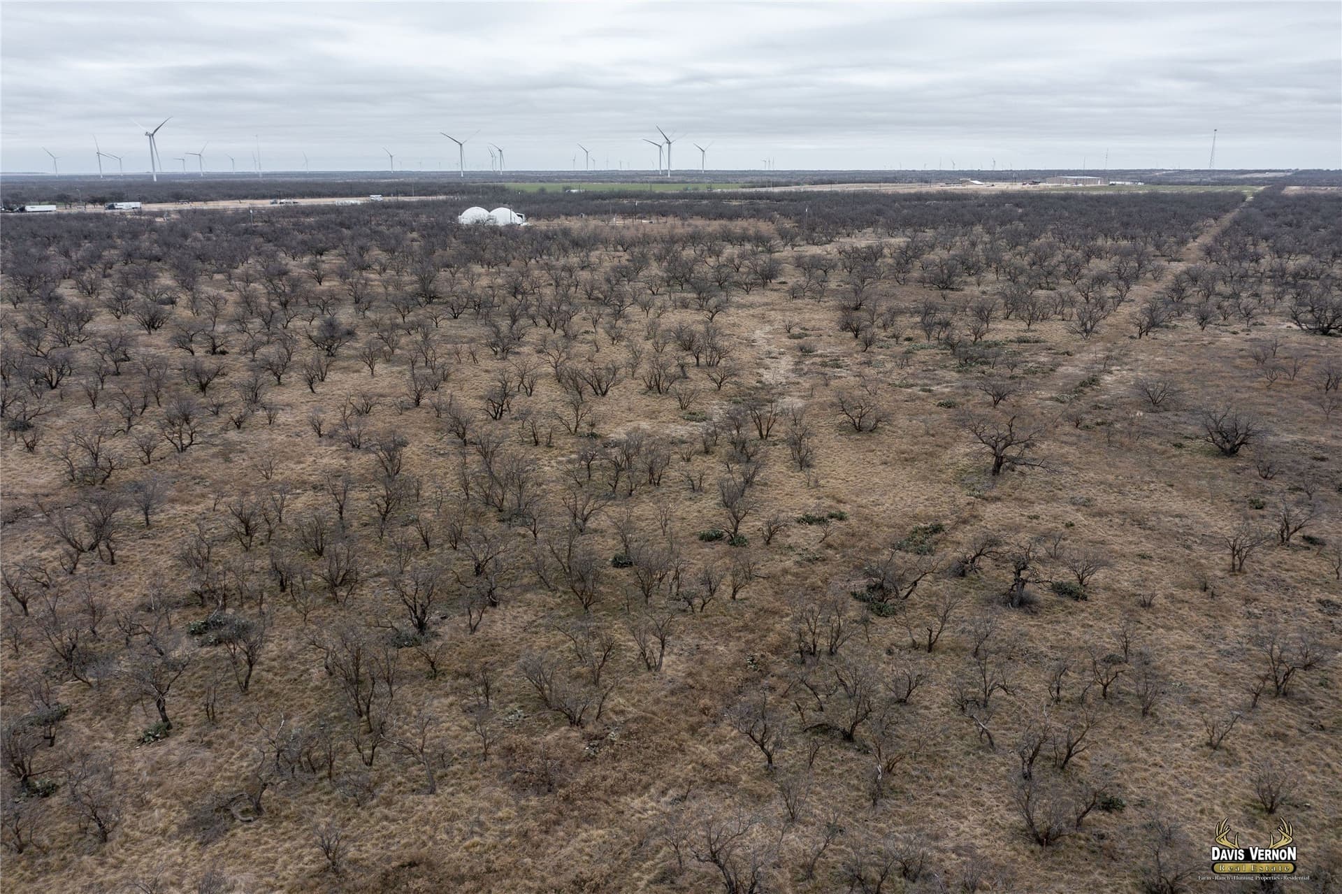 75 acres in Callahan County - photo 12