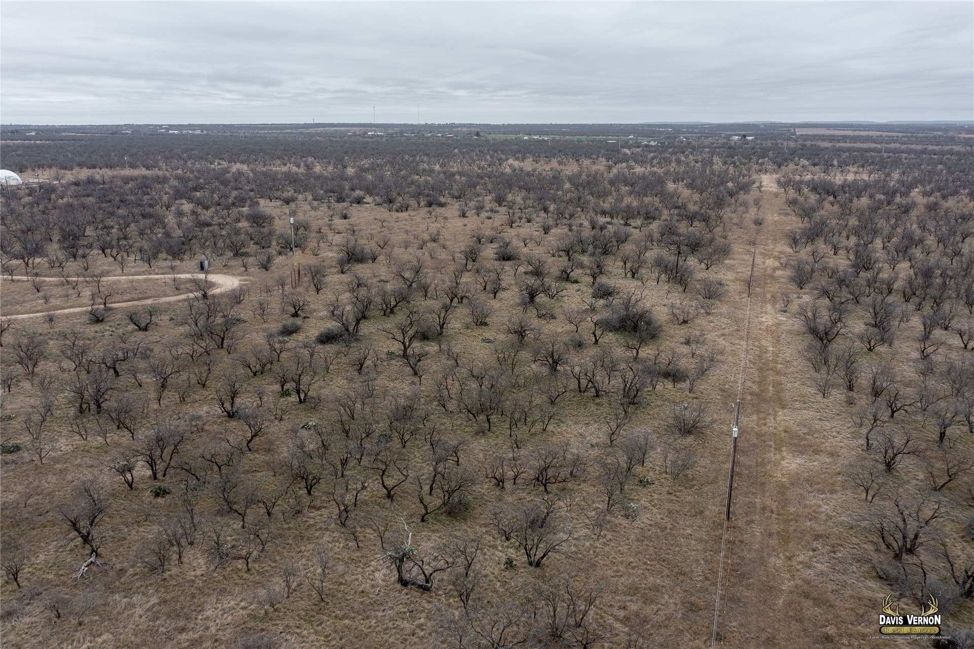 75 acres in Callahan County - photo 10