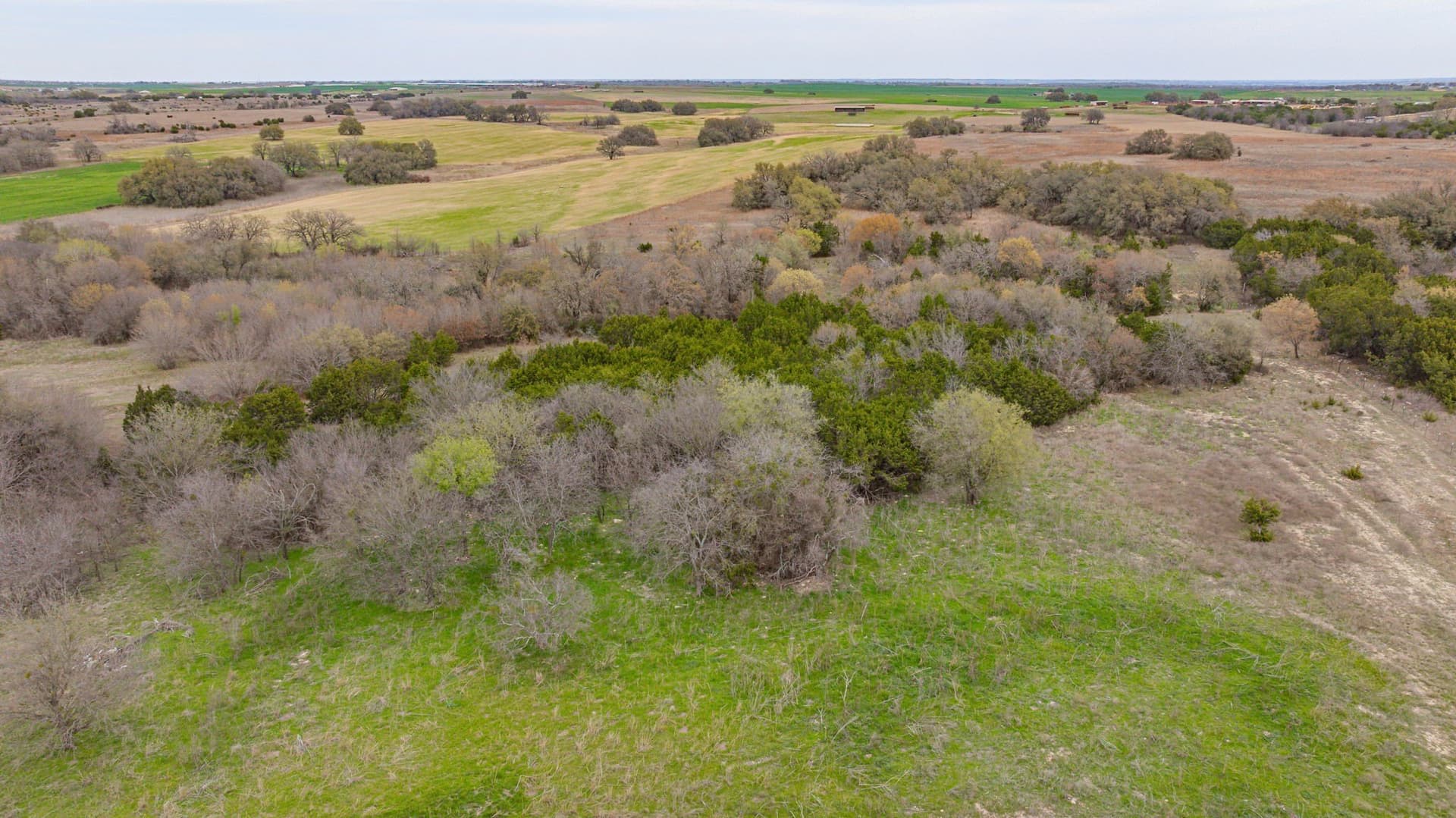 18.68 acres in Erath County - photo 23
