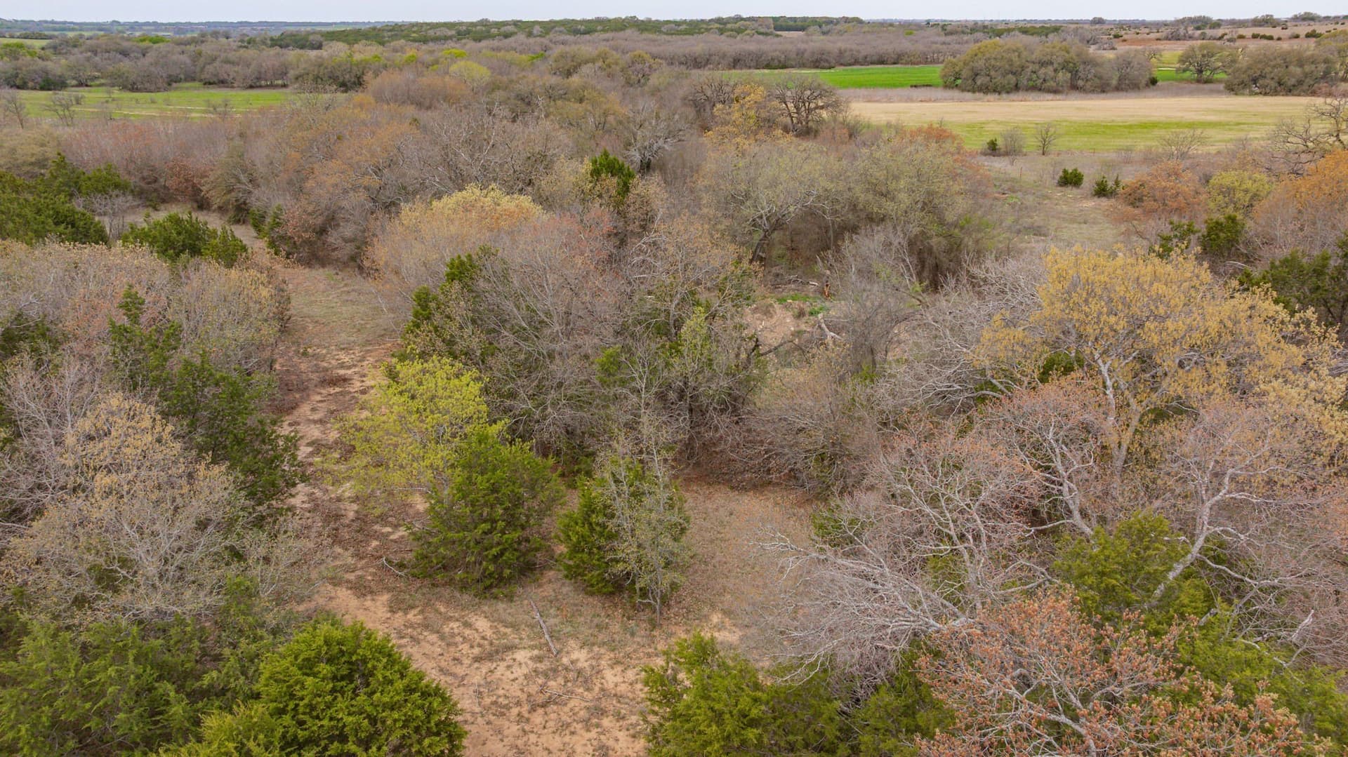 18.68 acres in Erath County - photo 21