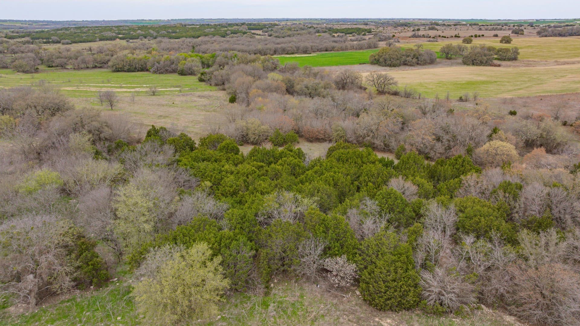 18.68 acres in Erath County - photo 22