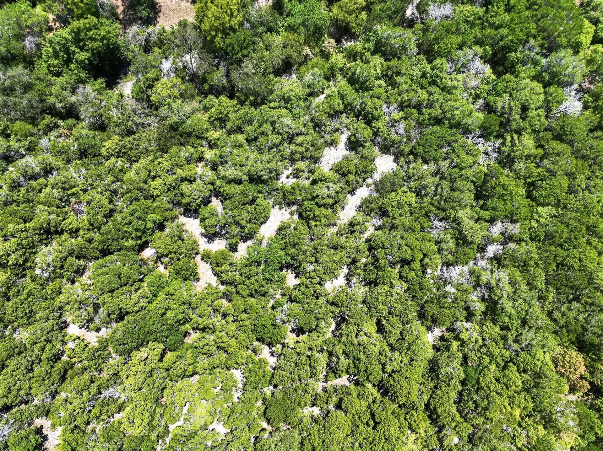 0.88 acres in Johnson County - photo 12