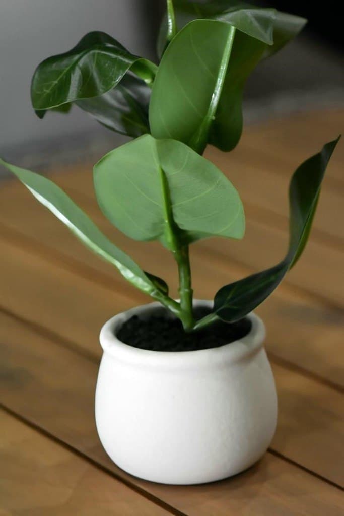 4,356 acres in Gillespie County gallery image 4