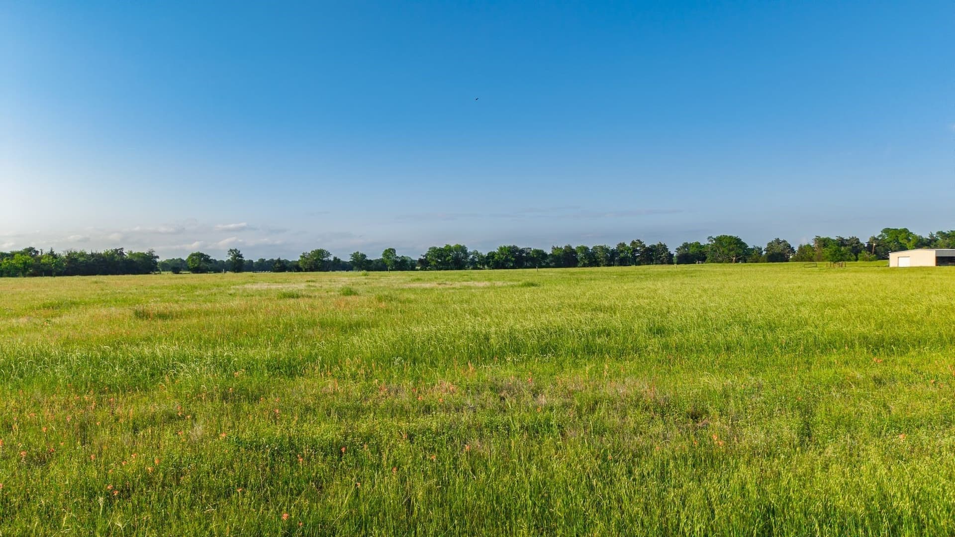 2 acres in Hunt County - photo 25