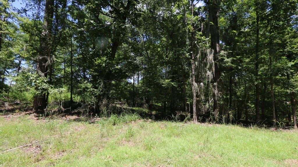 0.34 acres in Texas County - photo 6