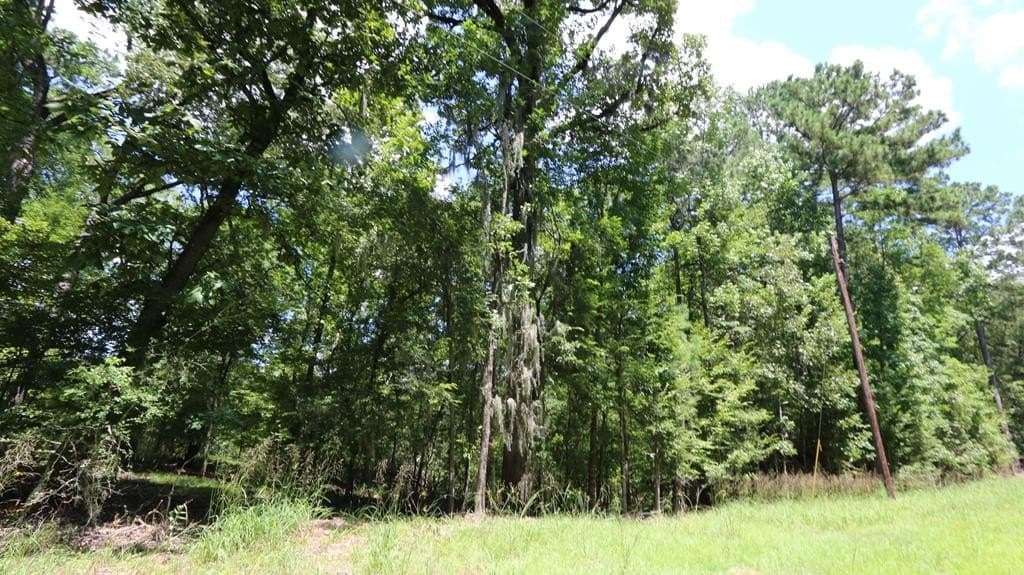 0.34 acres in Texas County