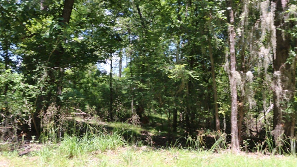 0.34 acres in Texas County - photo 8
