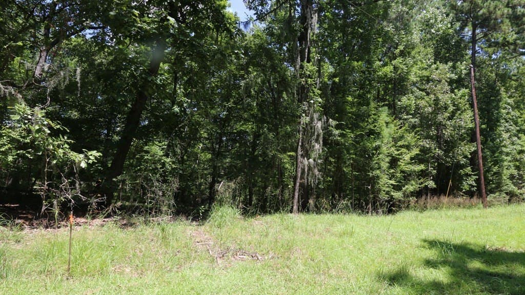 0.34 acres in Texas County - photo 3