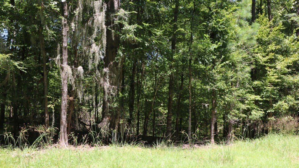0.34 acres in Texas County - photo 9