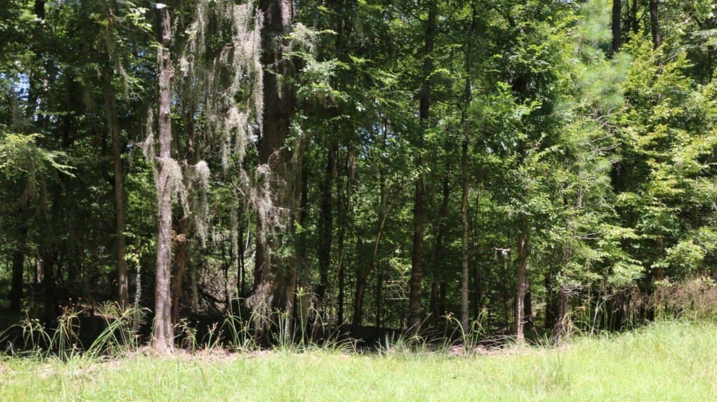 0.34 acres in Texas County - photo 10