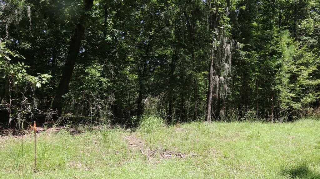 0.34 acres in Texas County - photo 2