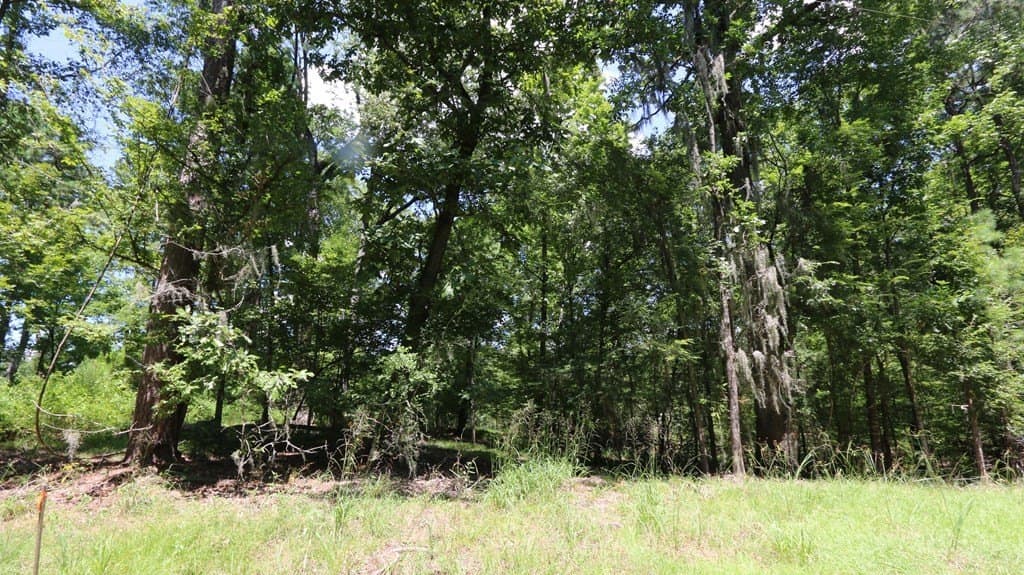 0.34 acres in Texas County - photo 4
