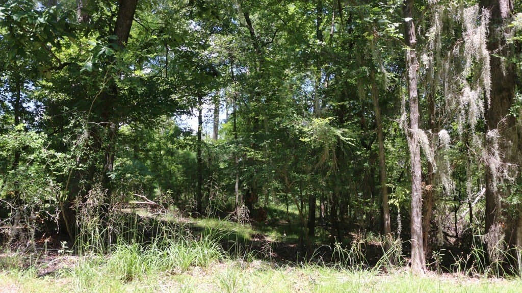 0.34 acres in Texas County - photo 7