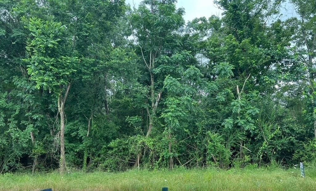 1.74 acres in Texas County - photo 6
