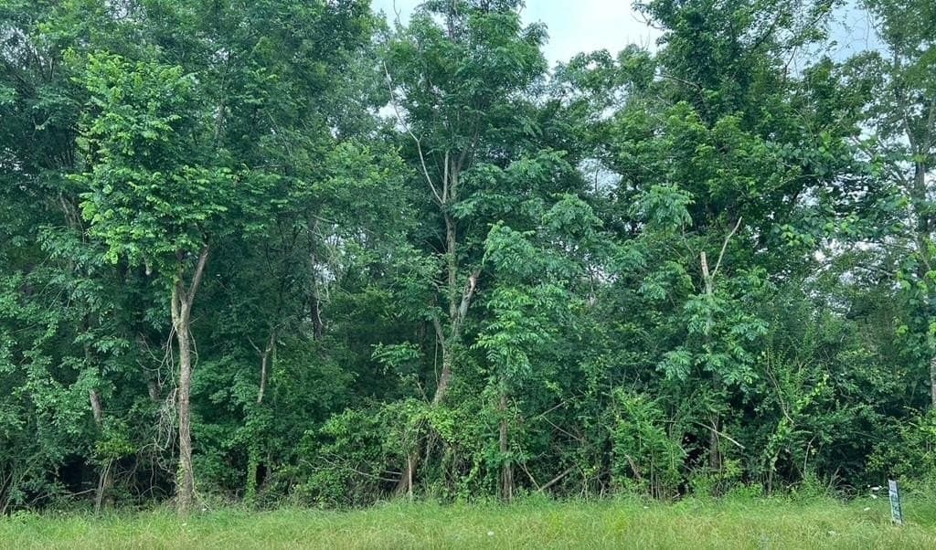 1.74 acres in Texas County - photo 4