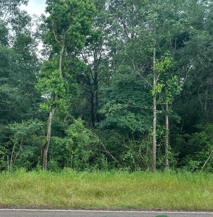 1.74 acres in Texas County - photo 5