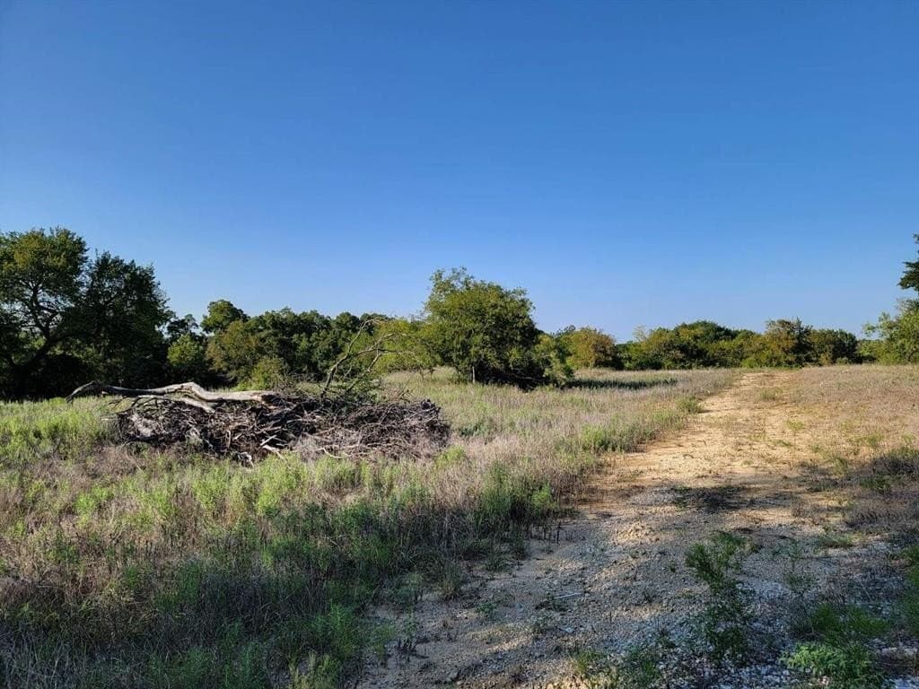 11.03 acres in Wise County gallery image 2