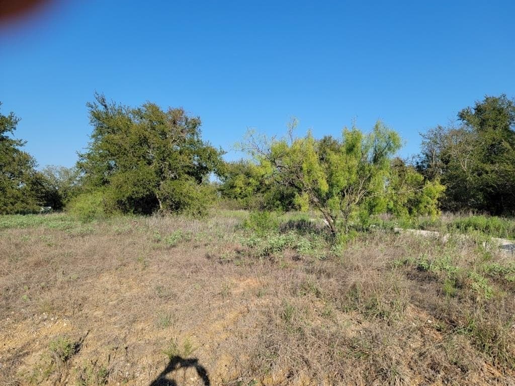 11.03 acres in Wise County gallery image 4