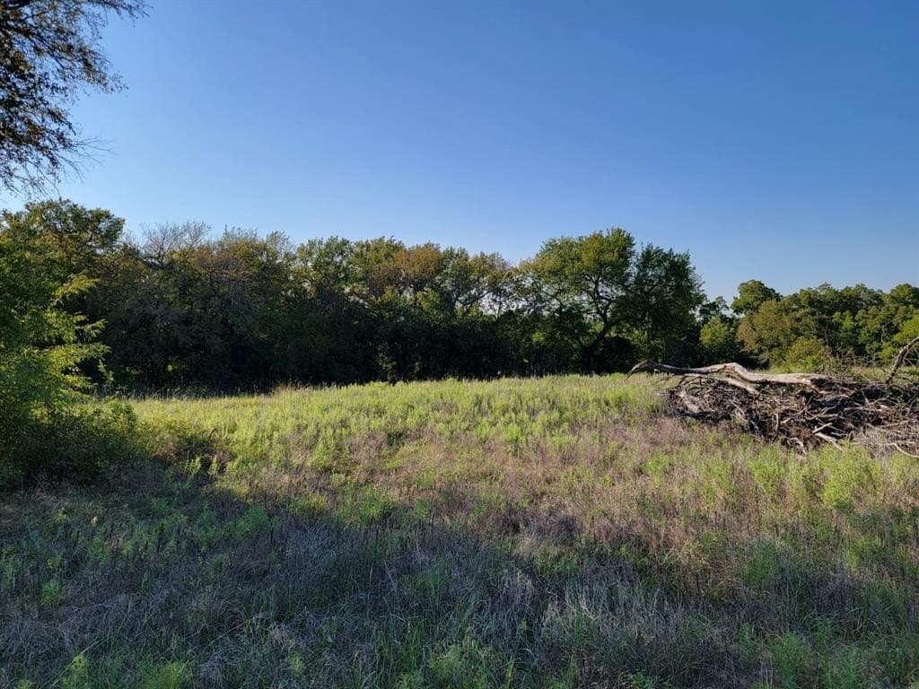 11.03 acres in Wise County gallery image 3