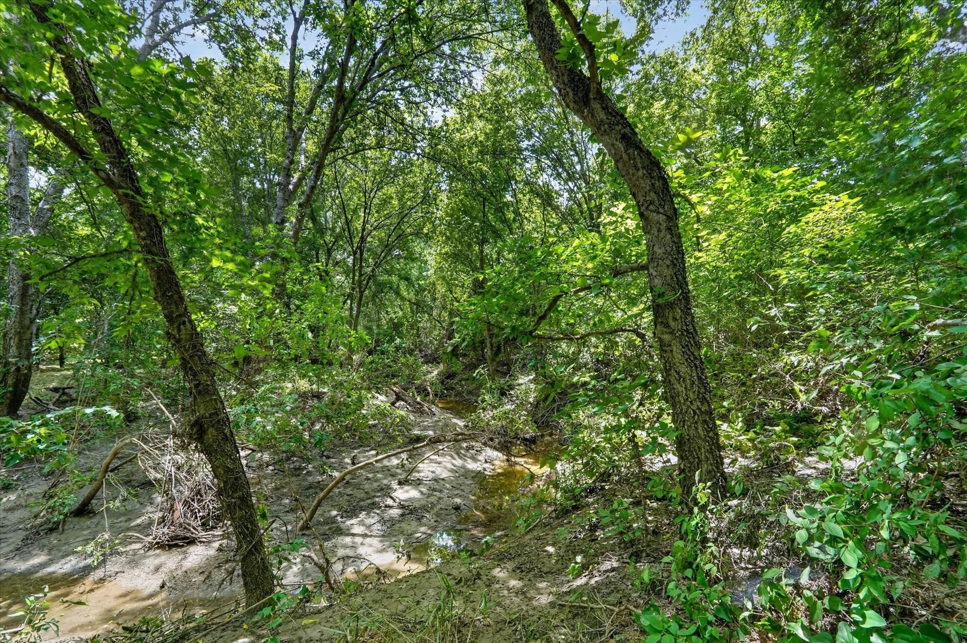 3.79 acres in Johnson County - photo 21