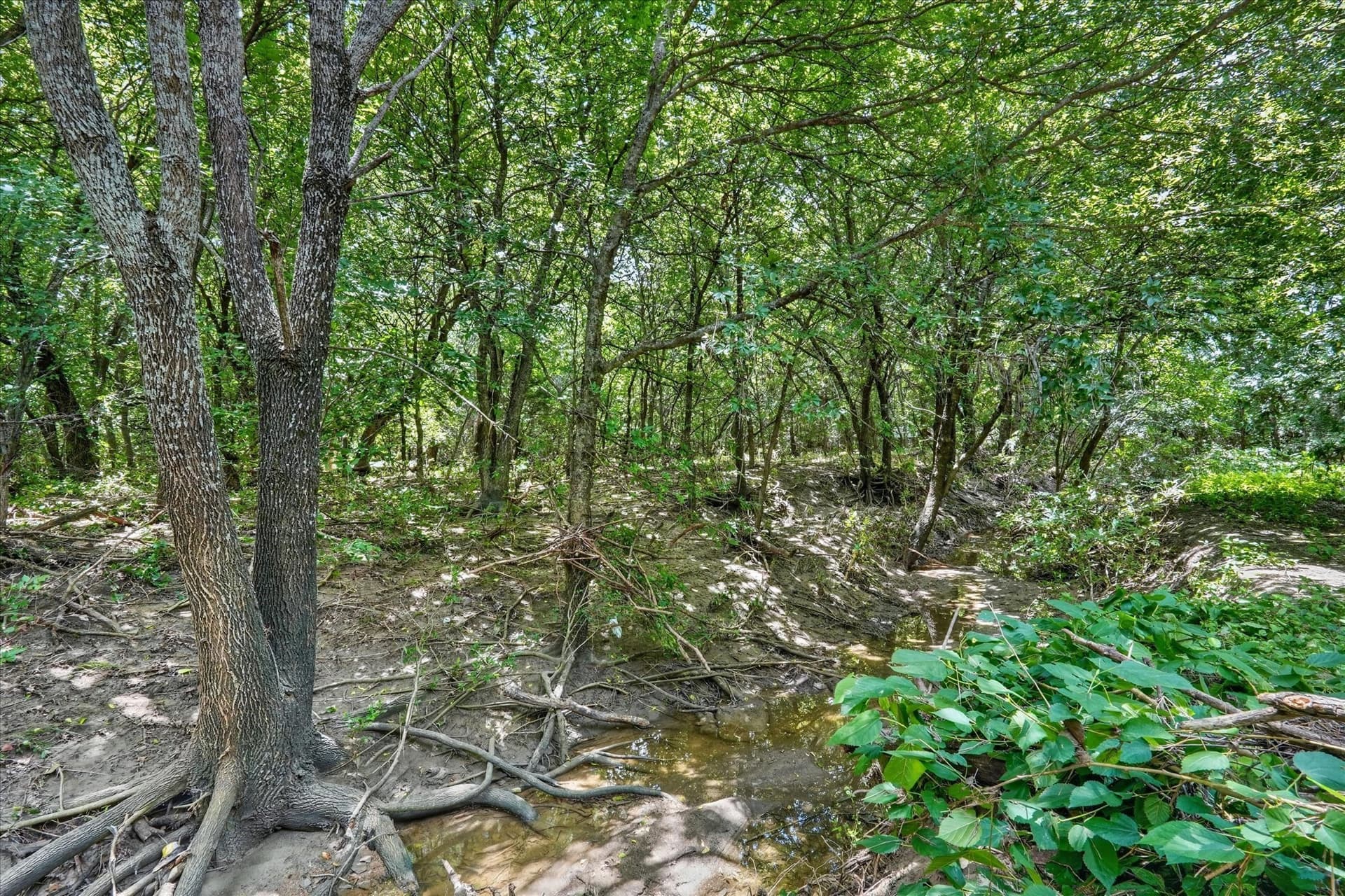3.79 acres in Johnson County - photo 22