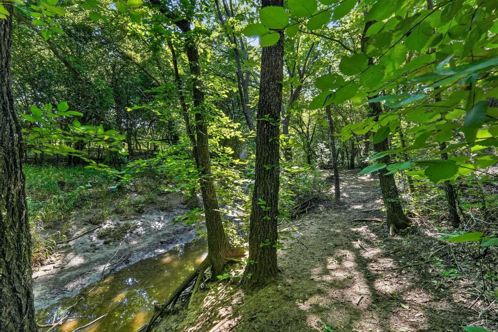3.79 acres in Johnson County - photo 11