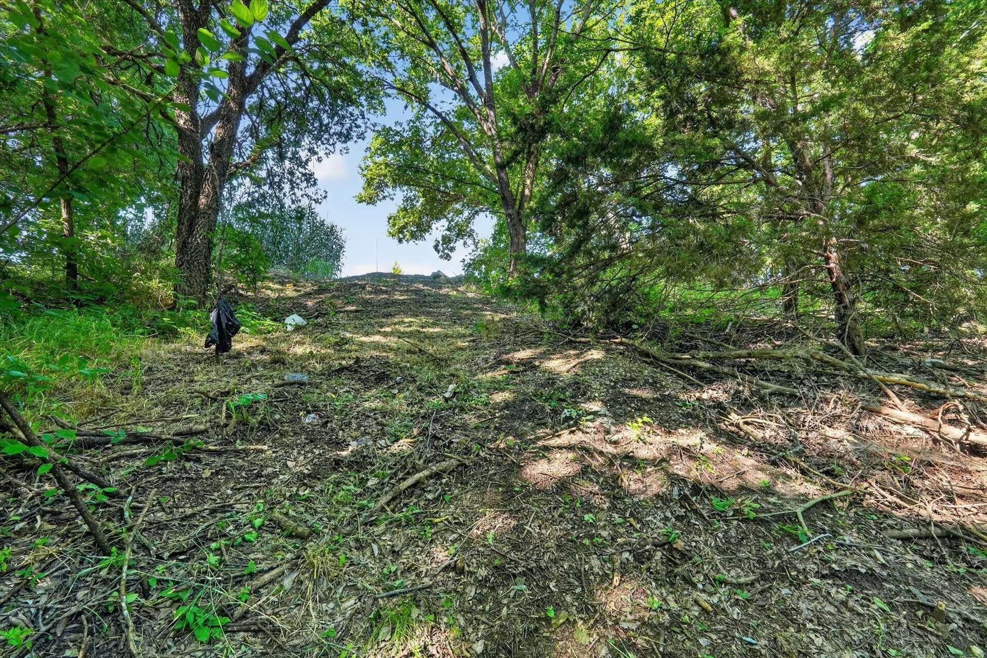 3.79 acres in Johnson County - photo 15