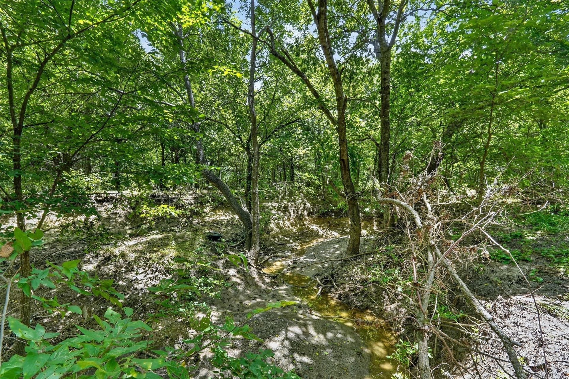 3.79 acres in Johnson County - photo 20