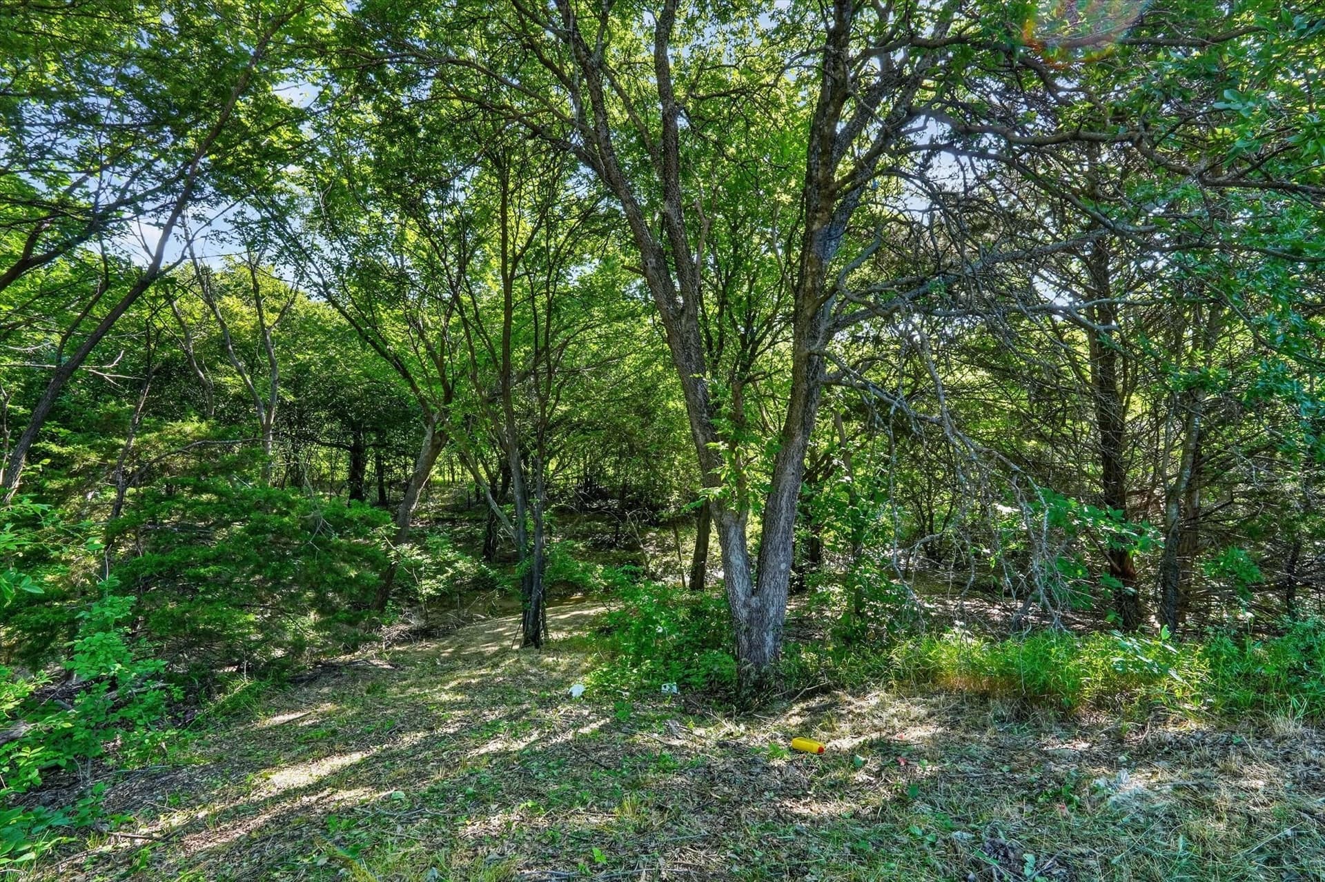 3.79 acres in Johnson County - photo 16