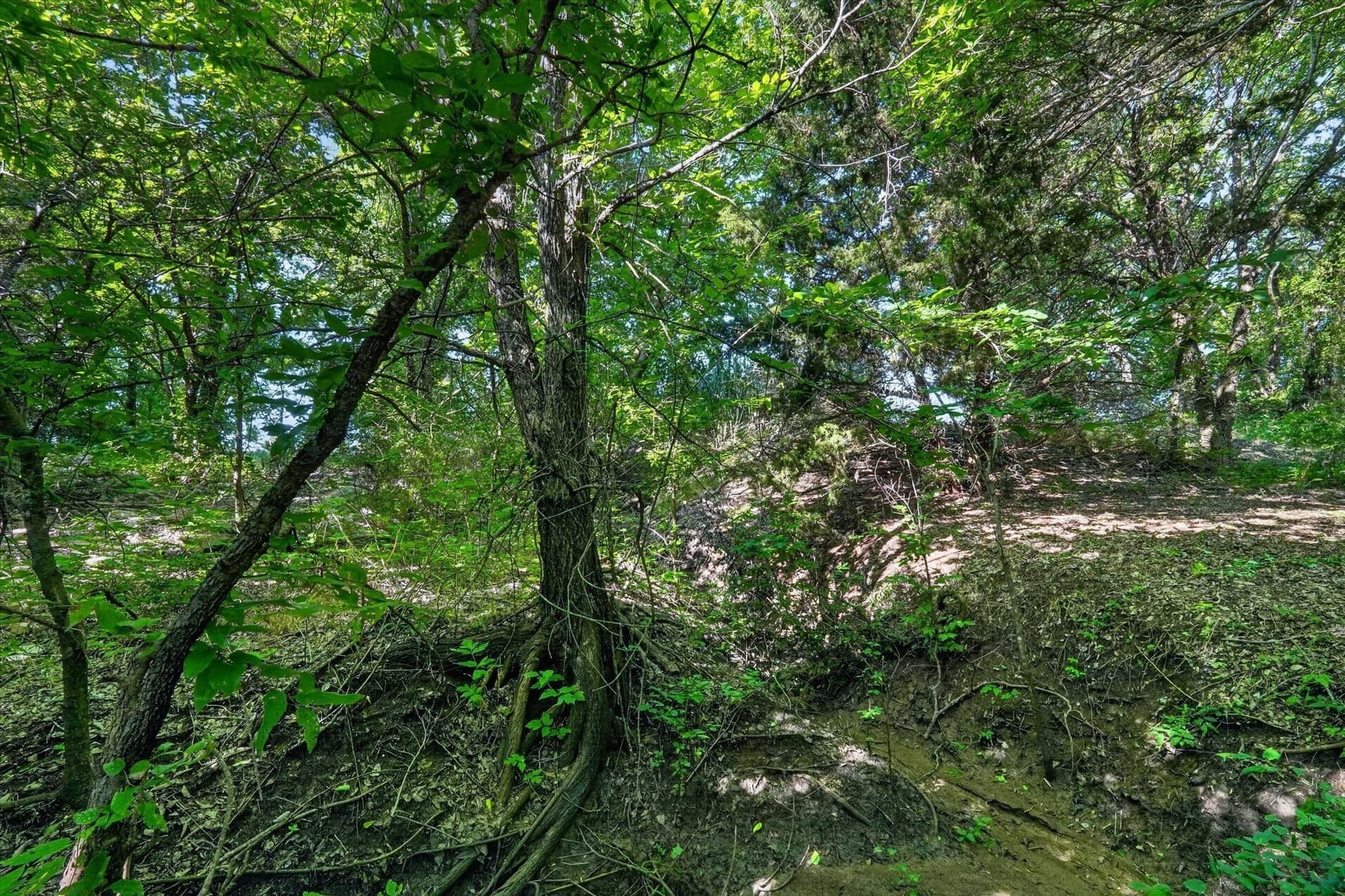 3.79 acres in Johnson County - photo 13