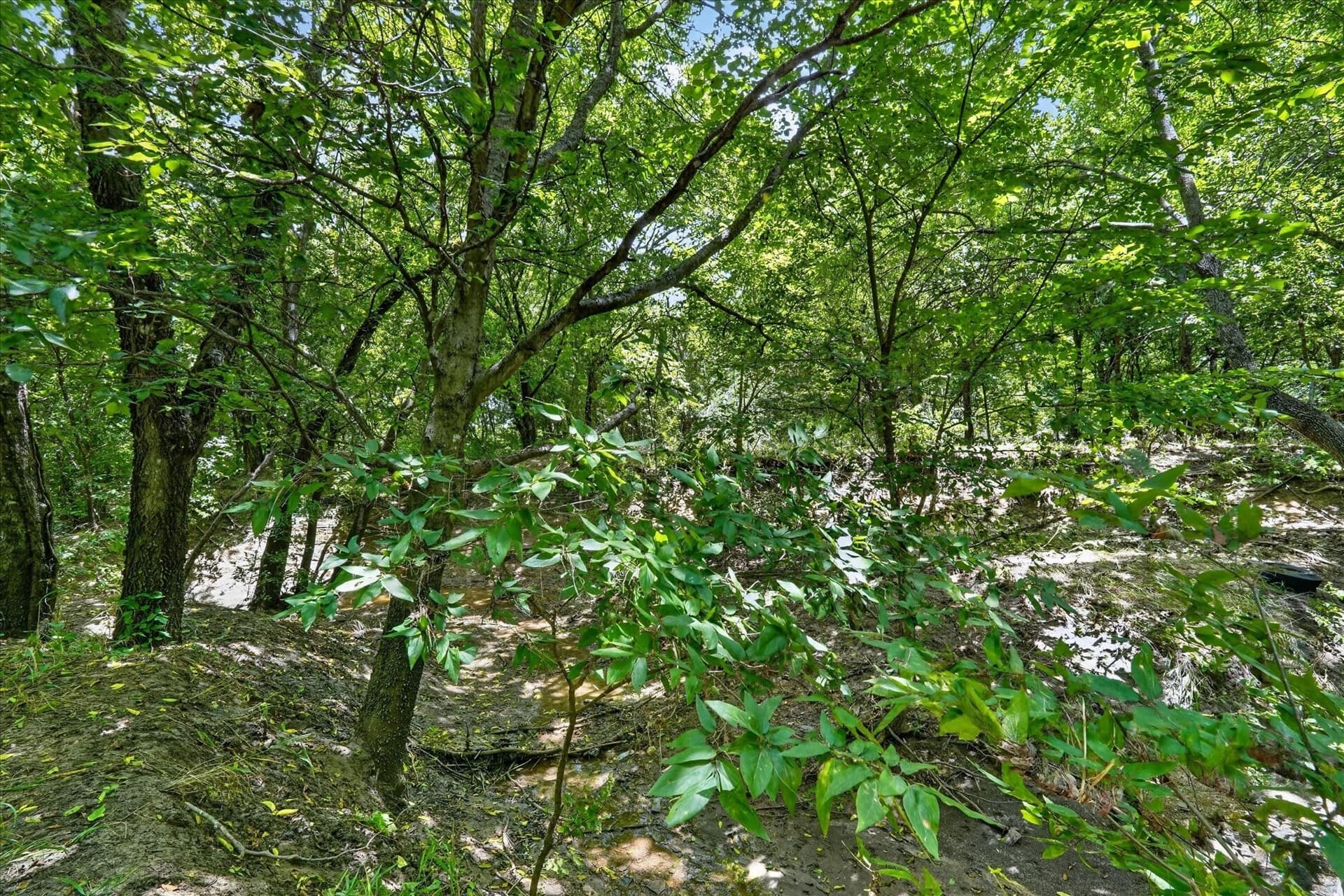 3.79 acres in Johnson County - photo 17