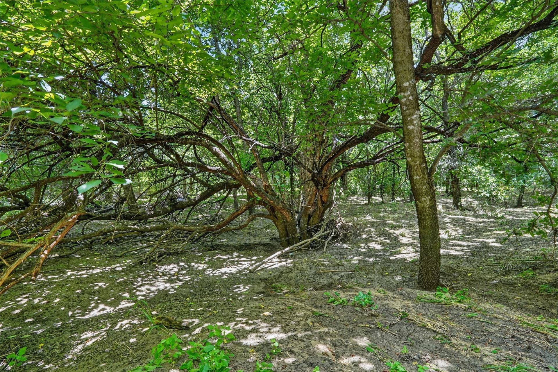 3.79 acres in Johnson County - photo 19