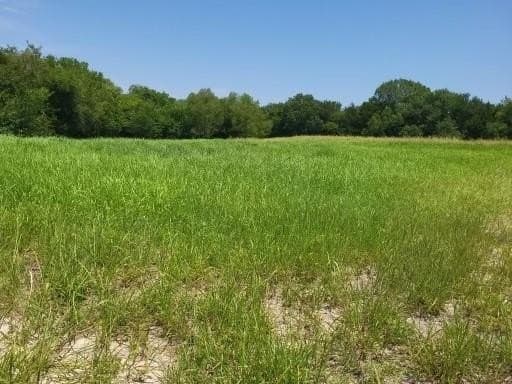2 acres in Grayson County gallery image 2