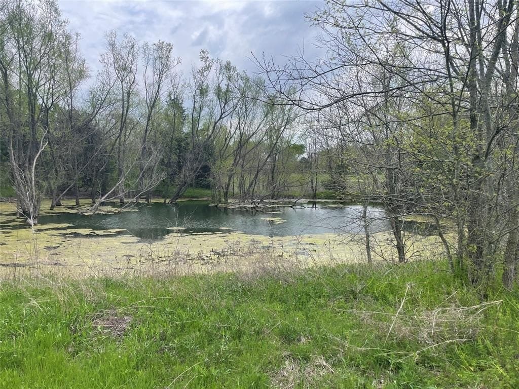 2 acres in Grayson County gallery image 3