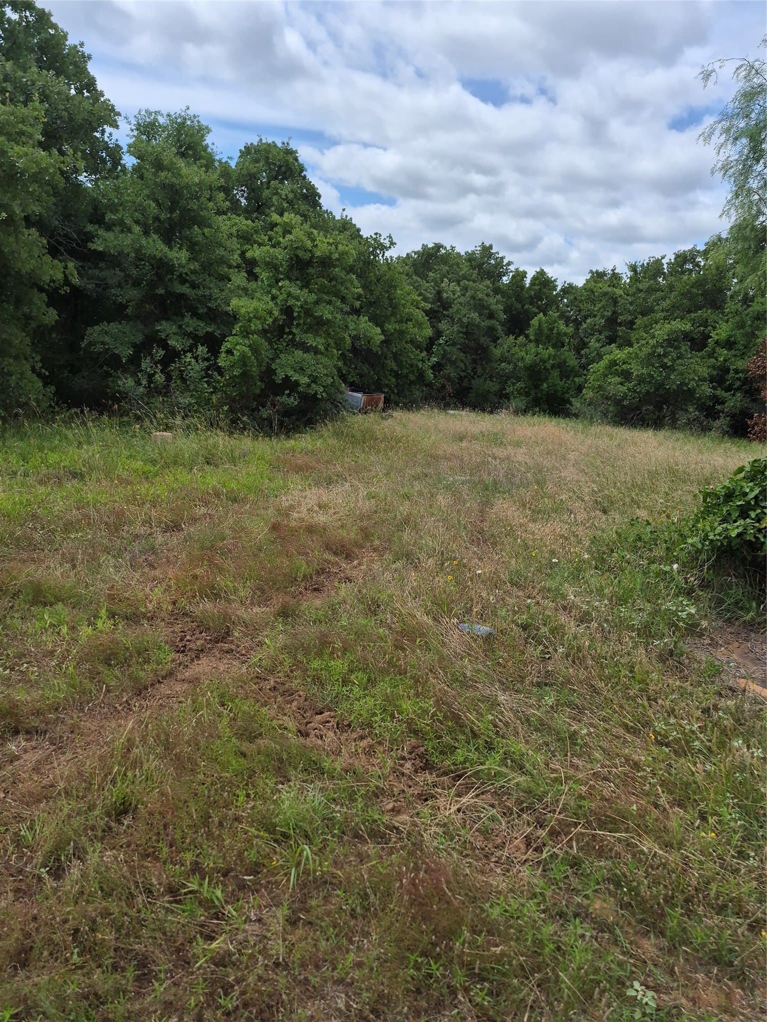 125 acres in Clay County - photo 13
