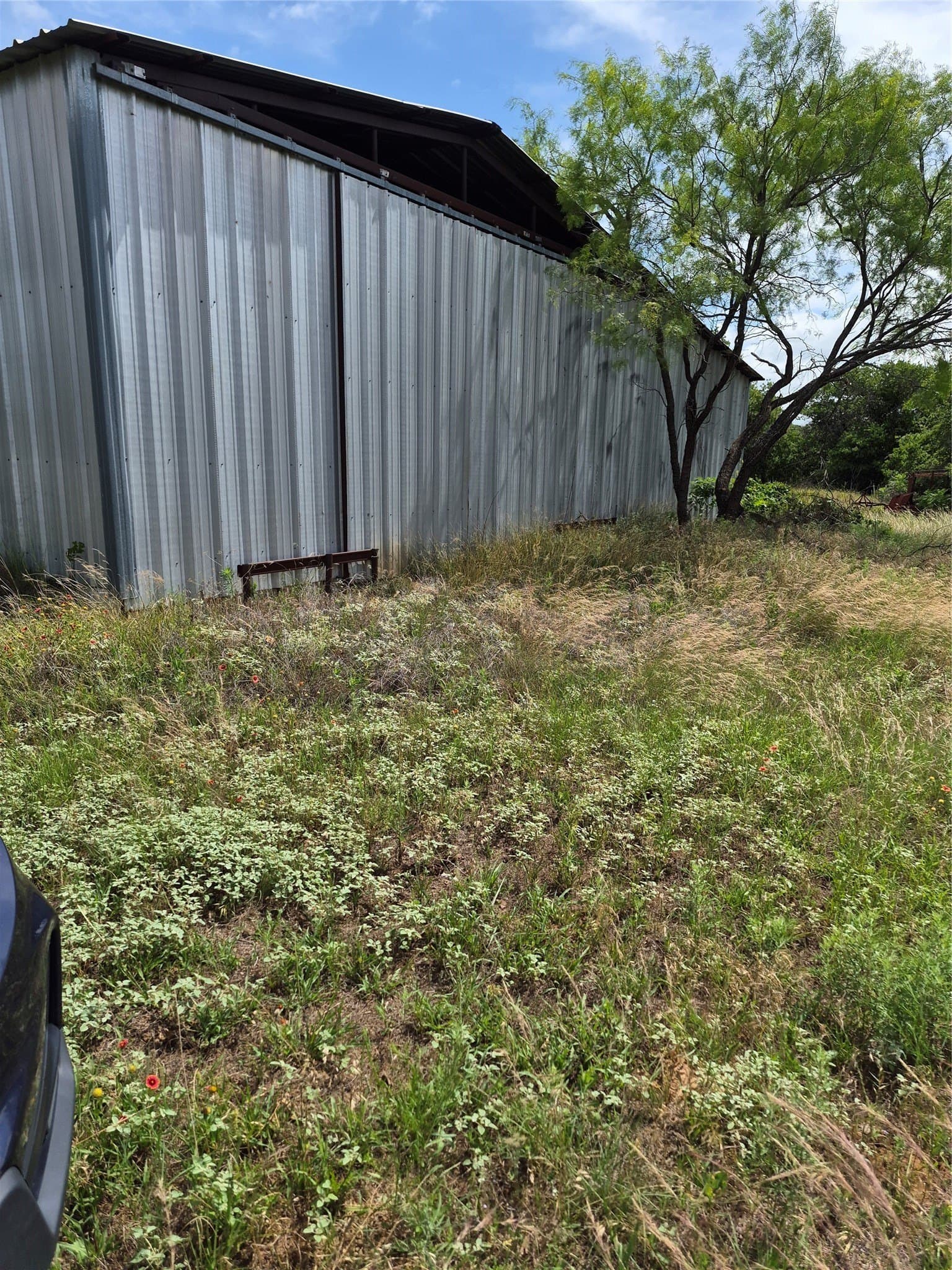 125 acres in Clay County - photo 9