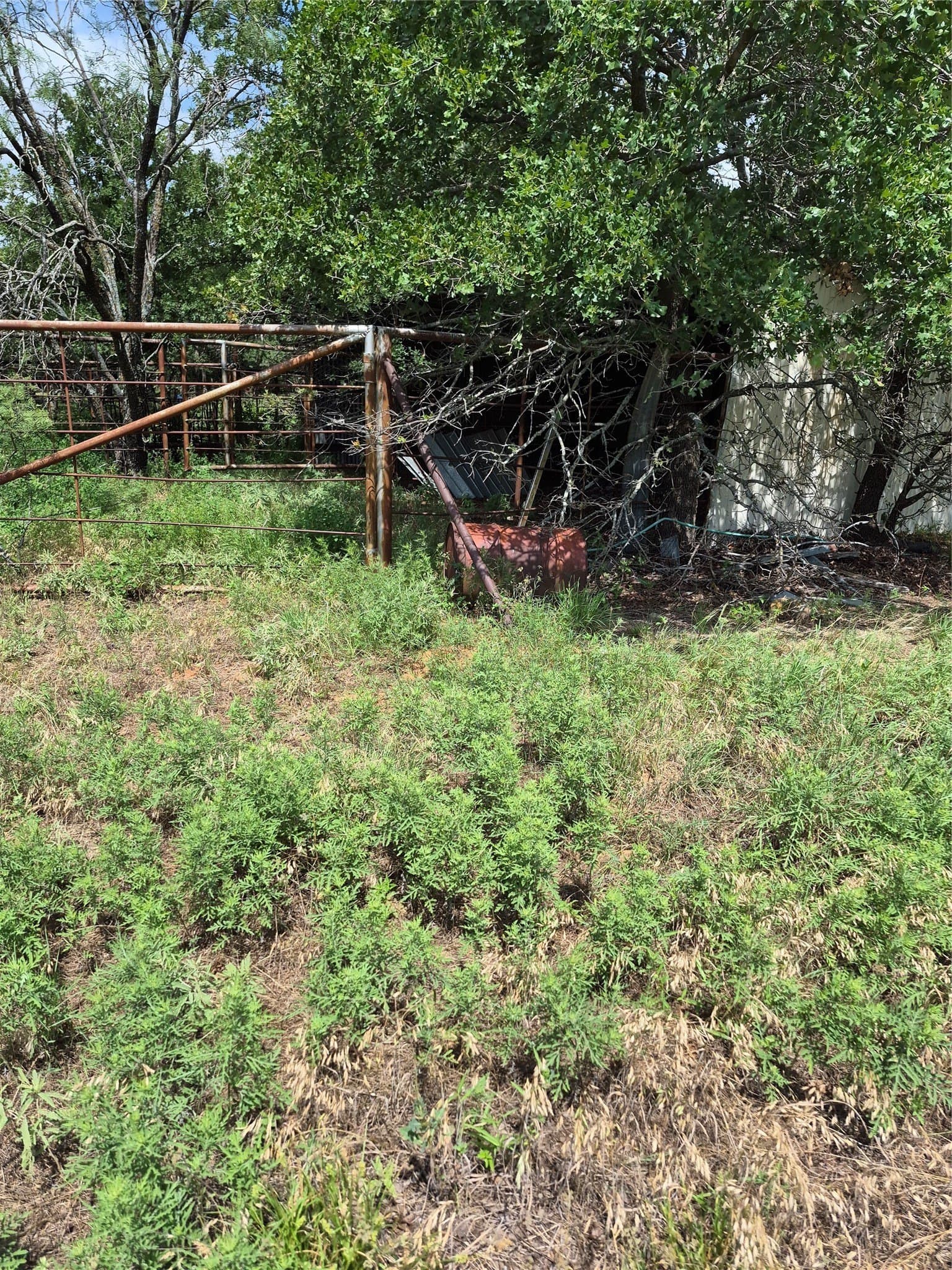 125 acres in Clay County - photo 11