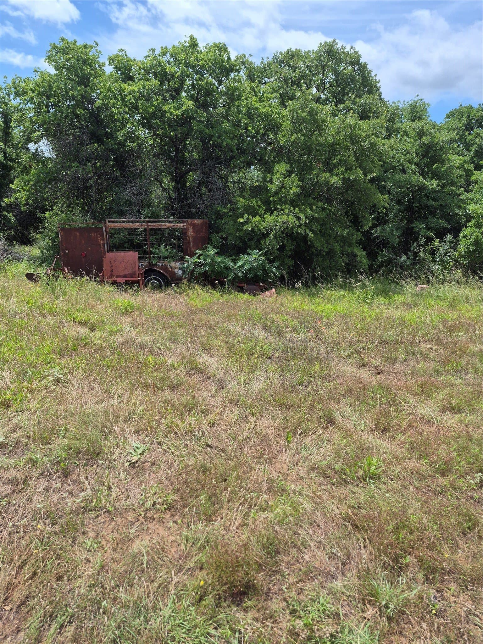 125 acres in Clay County - photo 10