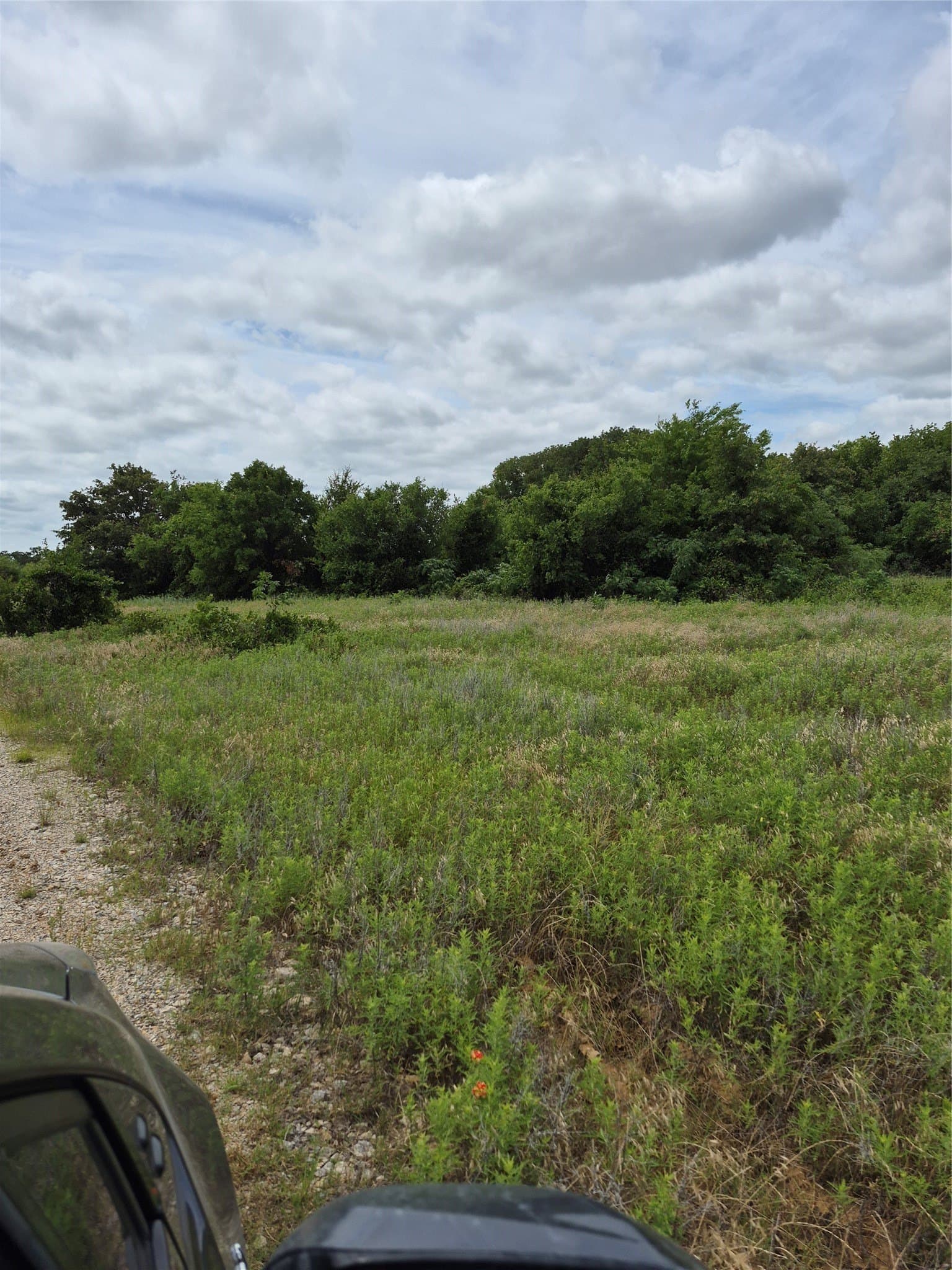 125 acres in Clay County - photo 8