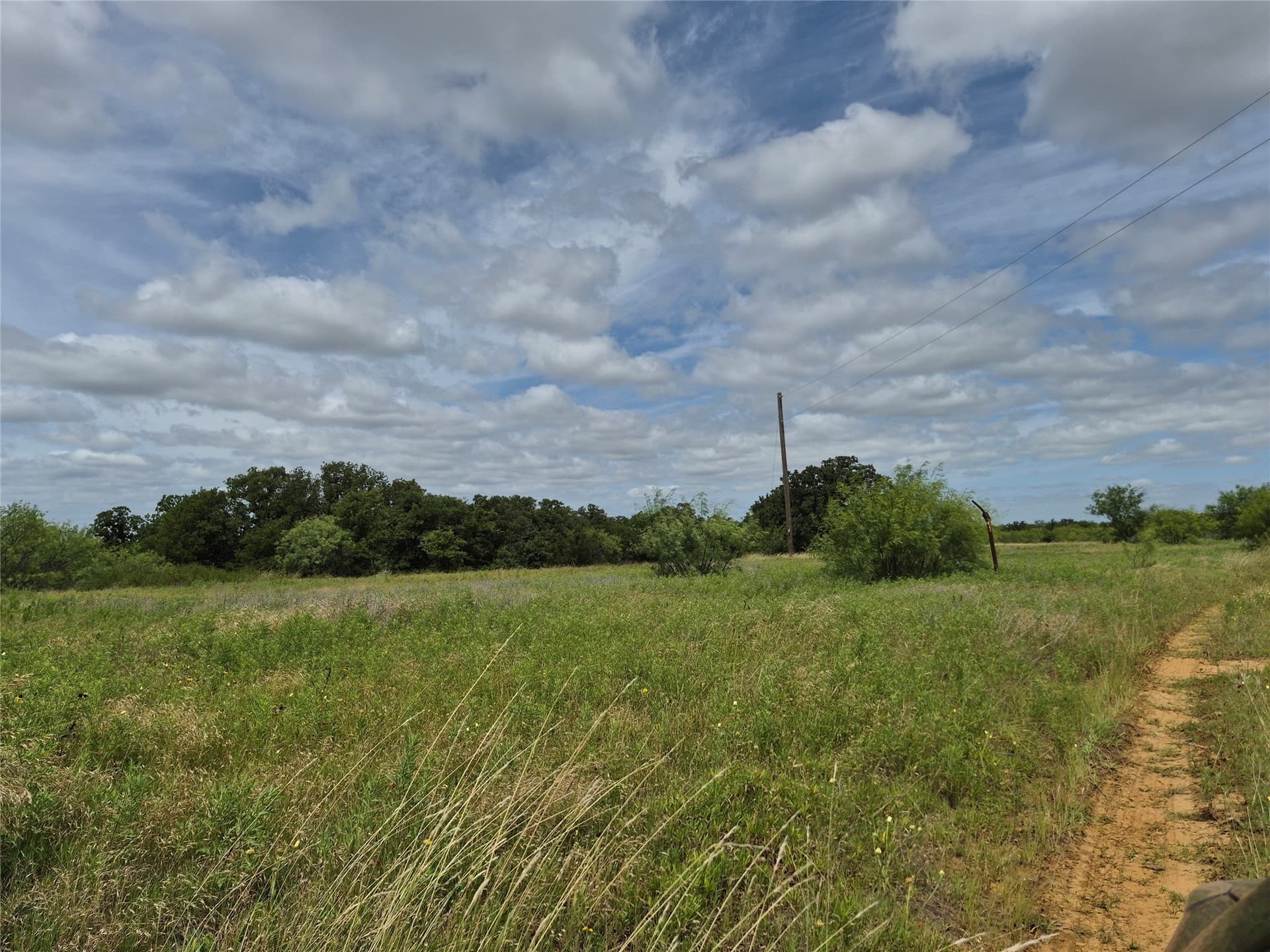 125 acres in Clay County featured view