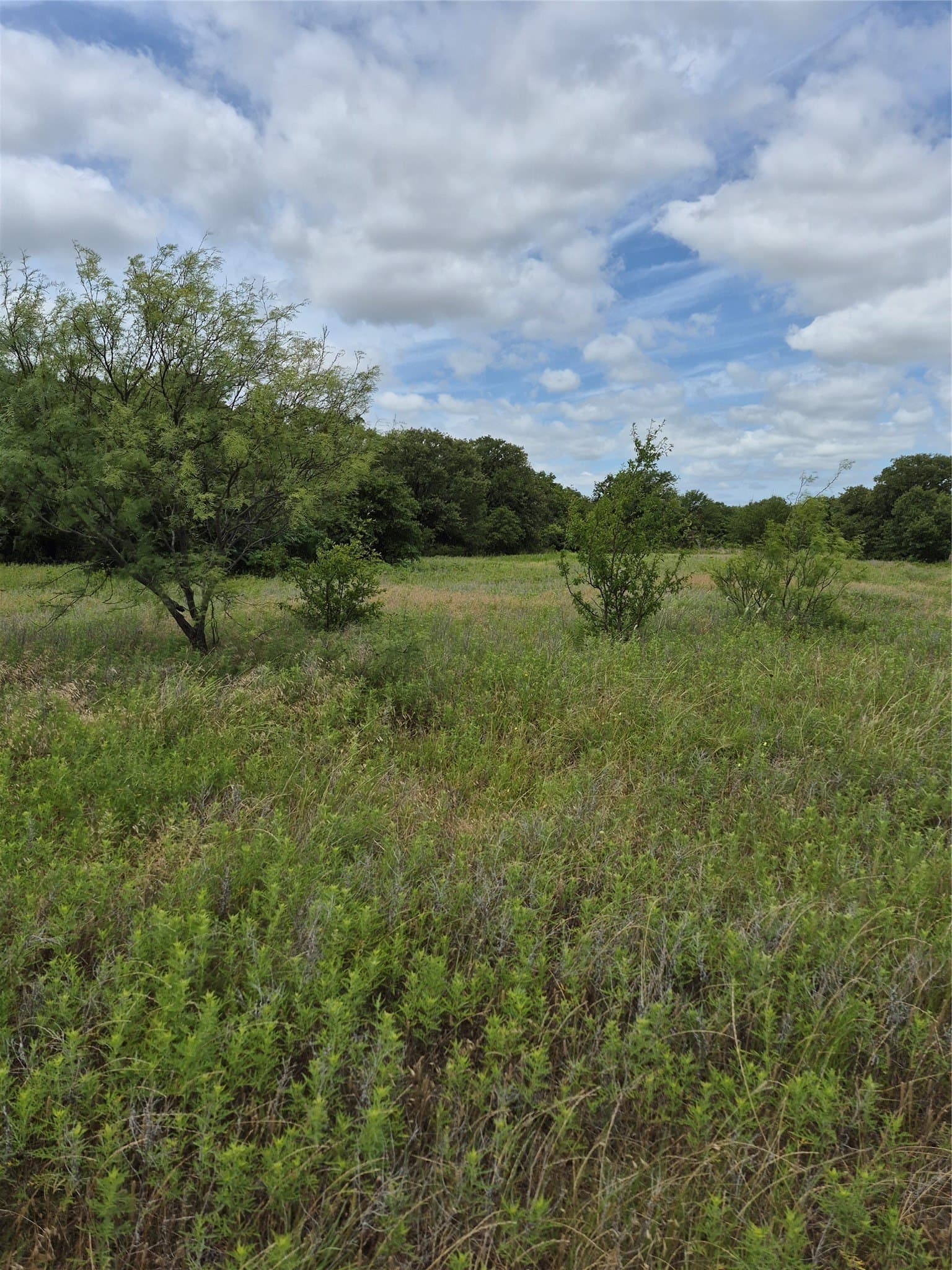 125 acres in Clay County - photo 7
