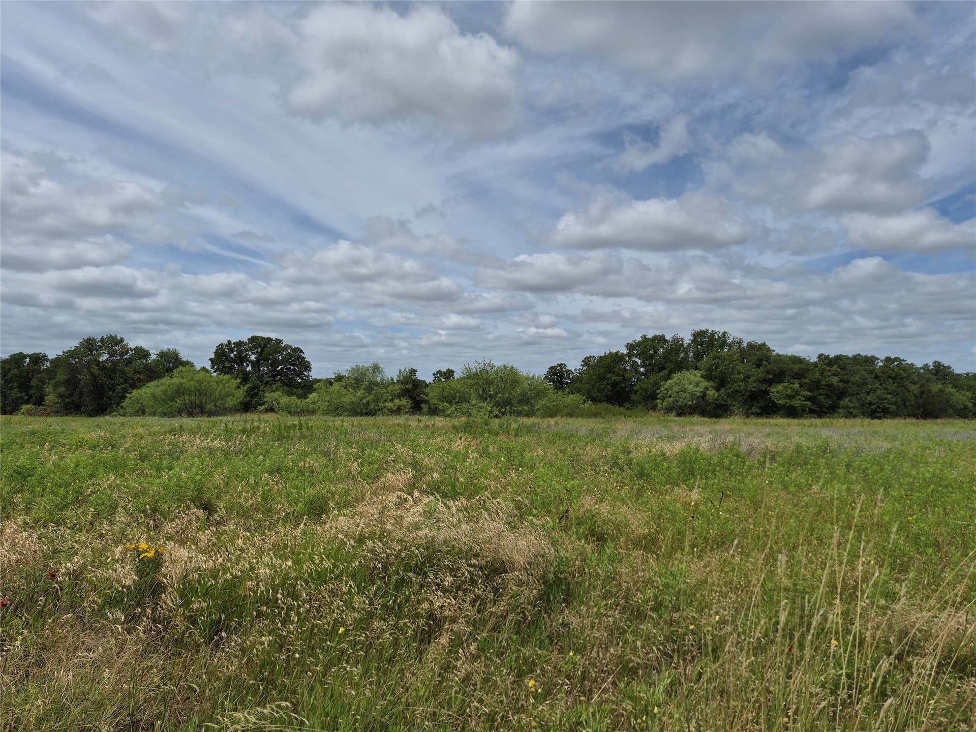 125 acres in Clay County gallery image 2