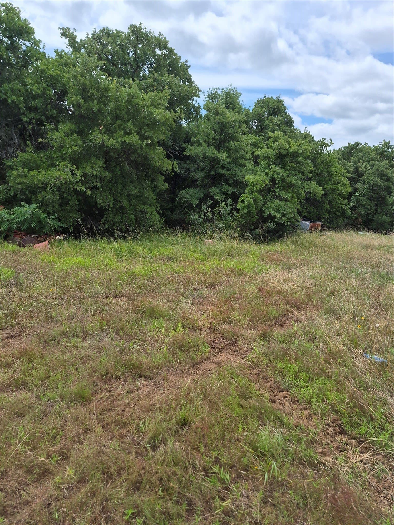 125 acres in Clay County - photo 12