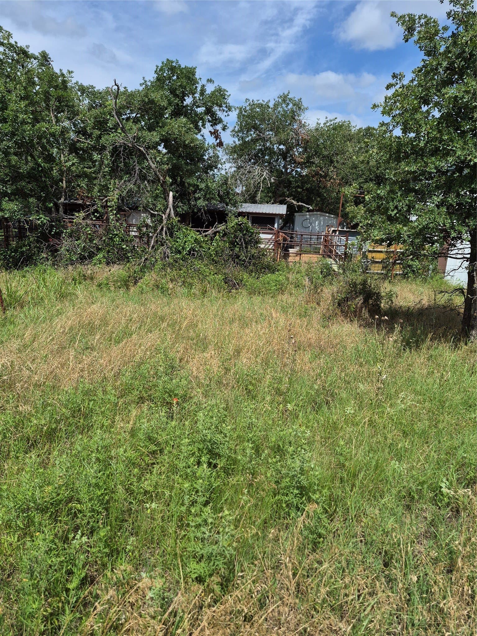 125 acres in Clay County - photo 14