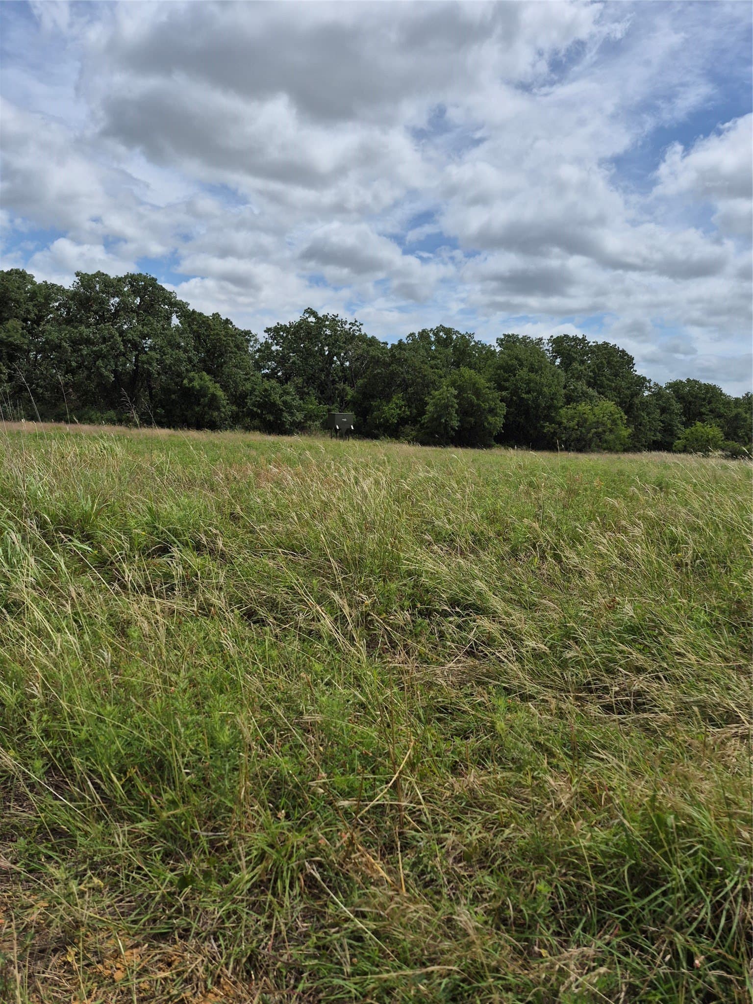 125 acres in Clay County gallery image 3