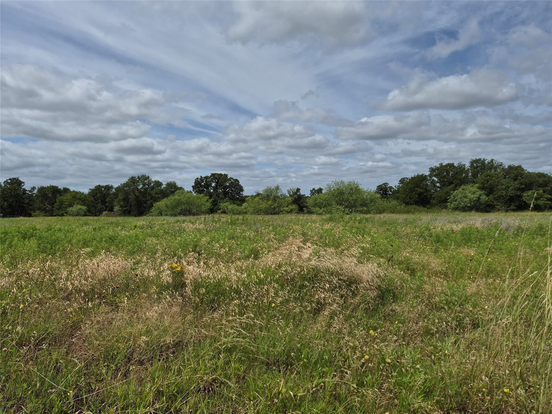 125 acres in Clay County gallery image 4