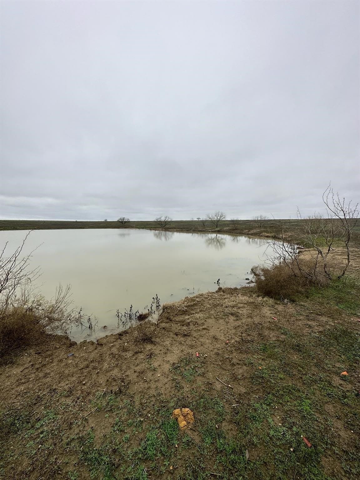 50.61 acres in Grayson County gallery image 3