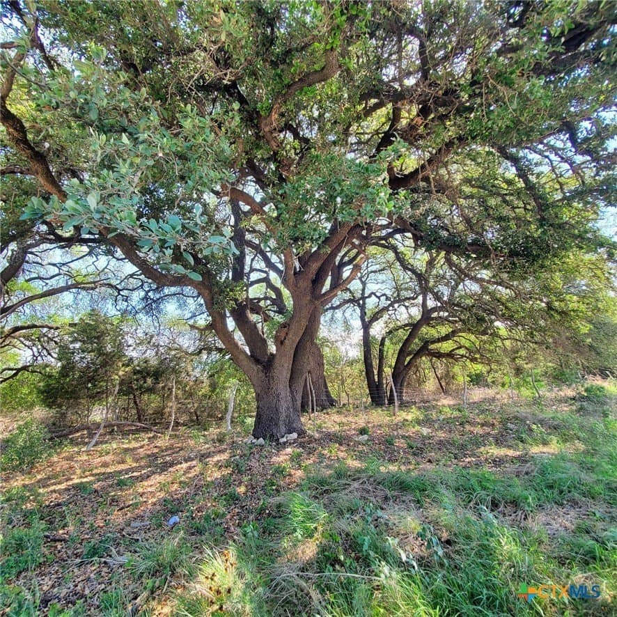 15.21 acres in Lampasas County