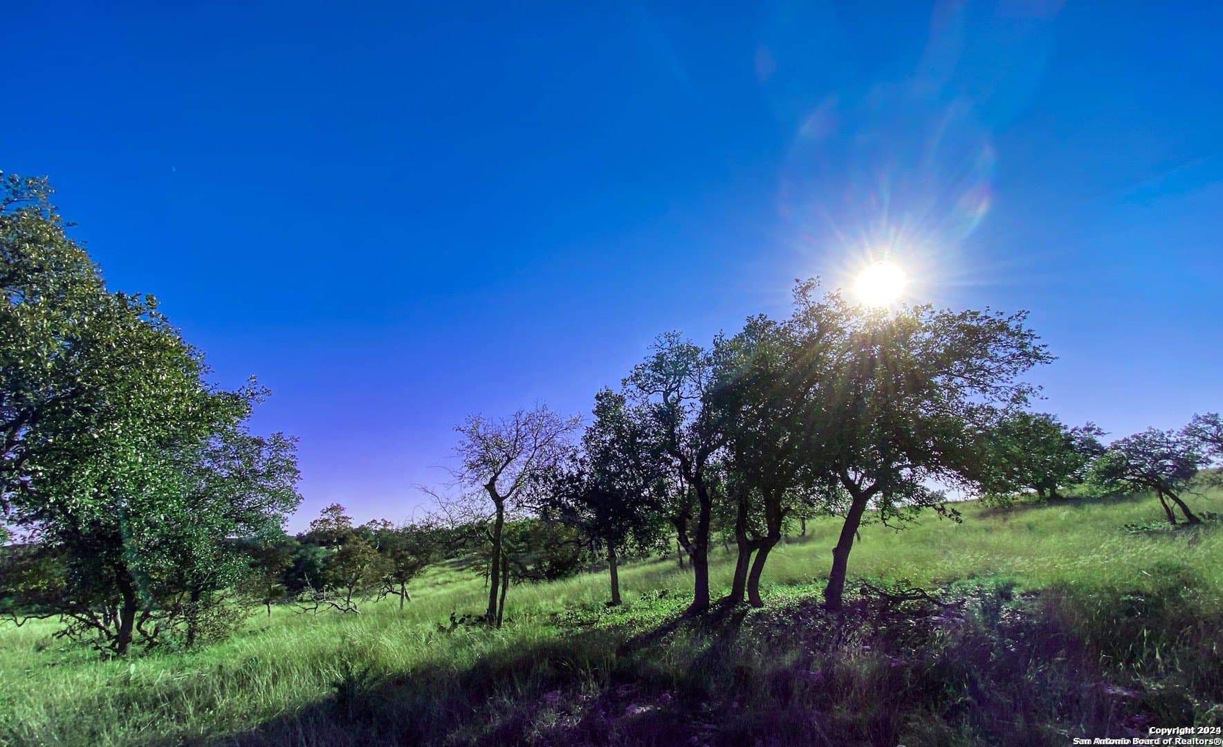 4.47 acres in Gillespie County gallery image 3