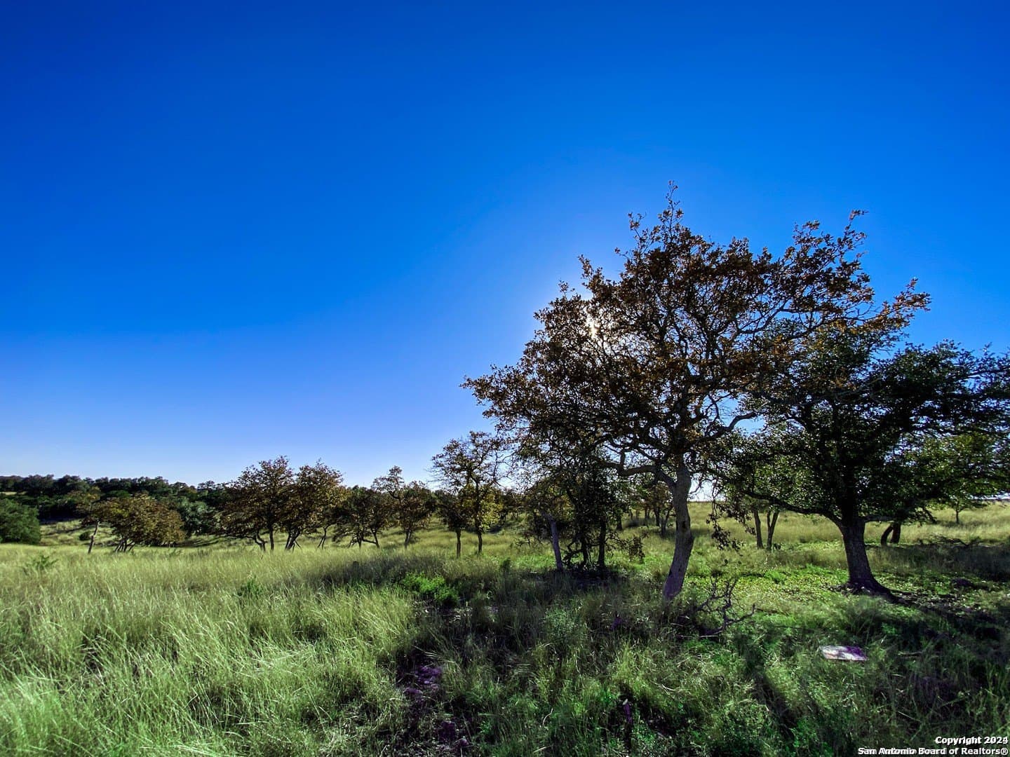 4.47 acres in Gillespie County featured view
